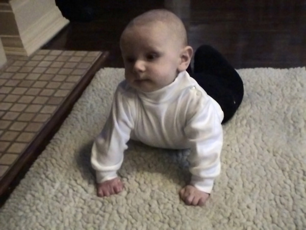 DSC00459 - Copy.jpg - Trying to crawl