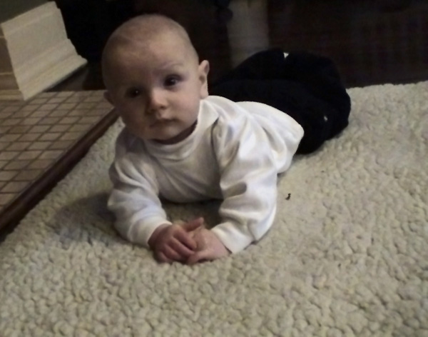 DSC00470 - Copy.jpg - Trying to crawl